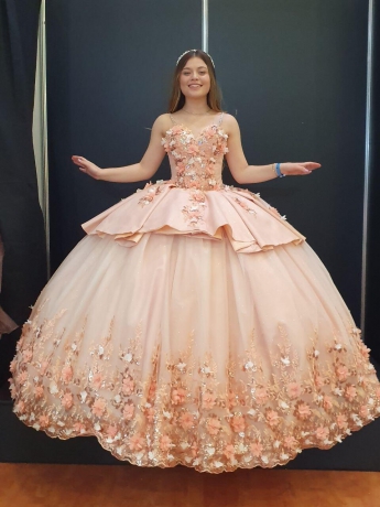 Instock 3D Flowers Quinceanera dresses