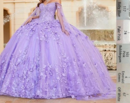 Instock 3D Flowers Quinceanera dresses