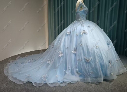 Instock Butterfly Quinceanera Dresses