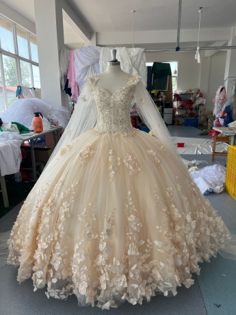 Instock 3D Flowers Quinceanera dresses