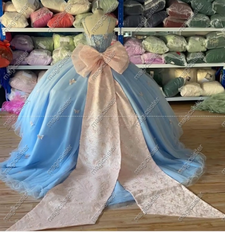 Topselling Princess Butterfly Quinceanera Dress
