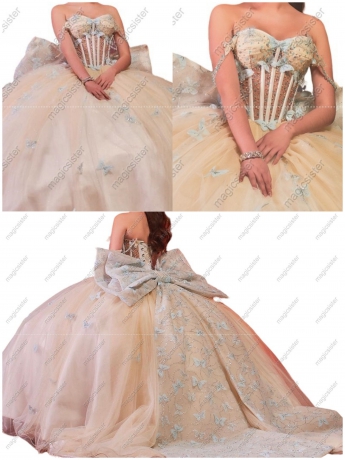 Topselling Princess Butterfly Quinceanera Dress