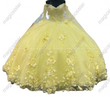 Luxury 3D Floral Quinceanera Dress