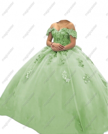 Hotselling Customed Make Quinceanera Dress