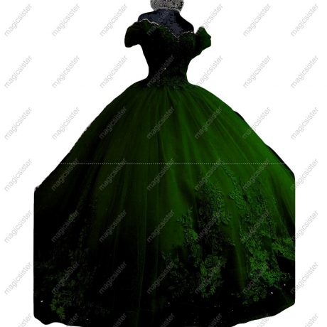 Sparkly Floral Appliques Princess Factory Wholesale Quinceanera Dress