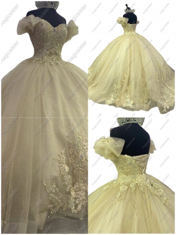 Sparkly Floral Appliques Princess Factory Wholesale Quinceanera Dress