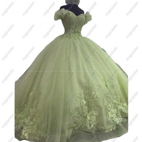 Sparkly Floral Appliques Princess Factory Wholesale Quinceanera Dress