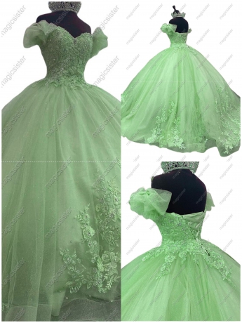 Sparkly Floral Appliques Princess Factory Wholesale Quinceanera Dress