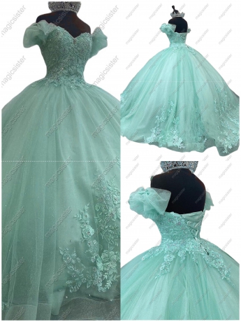 Sparkly Floral Appliques Princess Factory Wholesale Quinceanera Dress