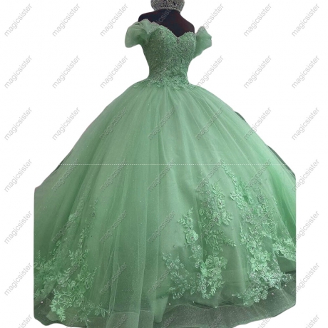 Sparkly Floral Appliques Princess Factory Wholesale Quinceanera Dress