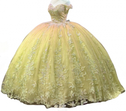 Glitter Factory Wholesale Floral Appliques Quinceanera Dress