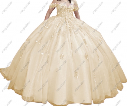 Factory Wholesale Glitter Floral Appliques Quinceanera Dress