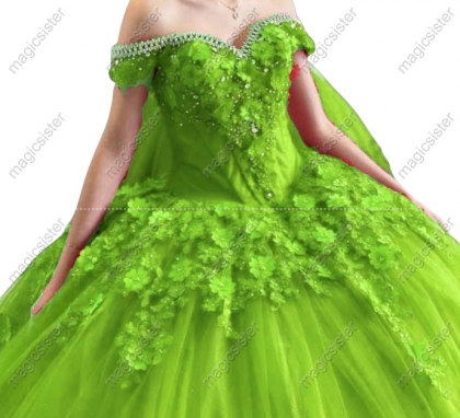 Sparkly Customized 3D Floral Quinceanera Dress