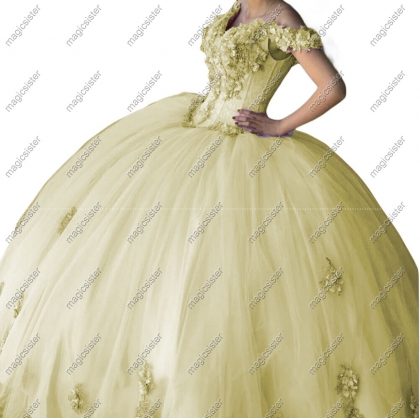 Factory wholesale customized 3D floral quinceanera dress