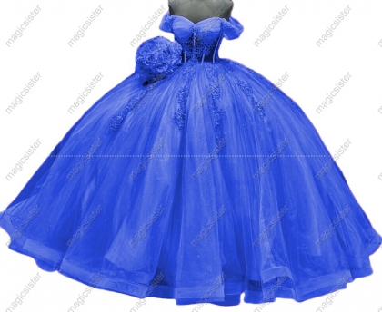 Luxury Glitter Floral Appliques Quinceanera Dress