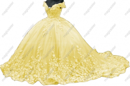 Hot Sale 3D Flower Lace Quinceanera Dress