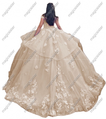 Factory wholesale Customized 3D Floral Quinceanera Dress