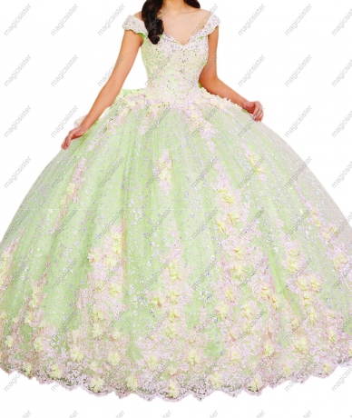 Sage Topselling Customized Quinceanera Dress