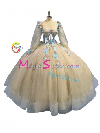 Real Sample Quinceanera Dress