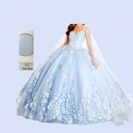 Real Sample Quinceanera Dress