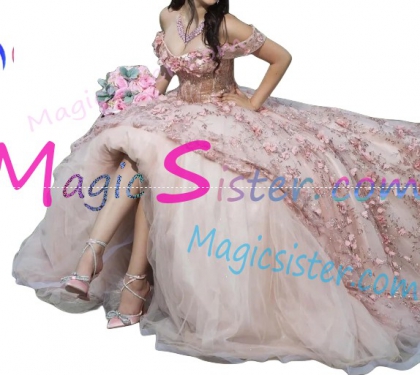 Hotselling Blush Factory Wholesale Quinceanera Dress
