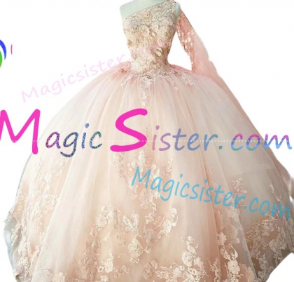 Hotselling Blush Factory Wholesale Quinceanera Dress