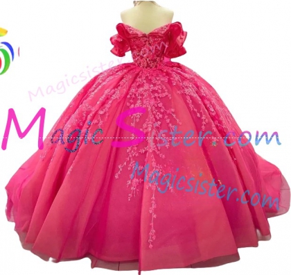 Topselling Luxury Fushsia Quinceanera Dress