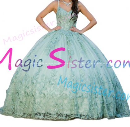 New Style Butterfly Quinceanera Dress