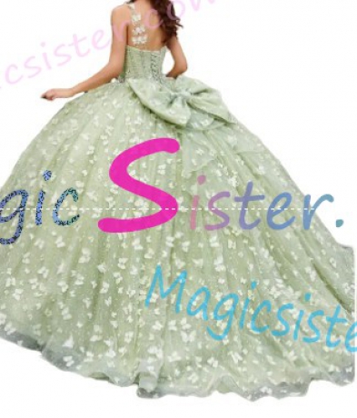 Hotselling New Style Butterfly Quinceanera Dress