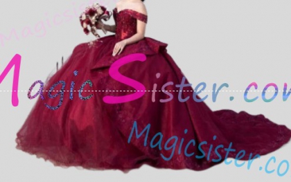 Hotselling Matching Barbie and Bear Dress